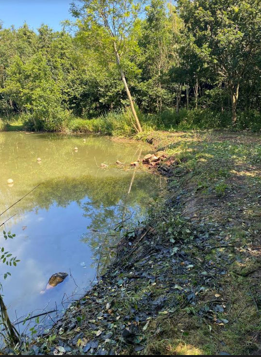 Please Note: The work to remove the dangerous trees on Spring Lake at Mappowder has been completed today – thanks to all members for your patience.